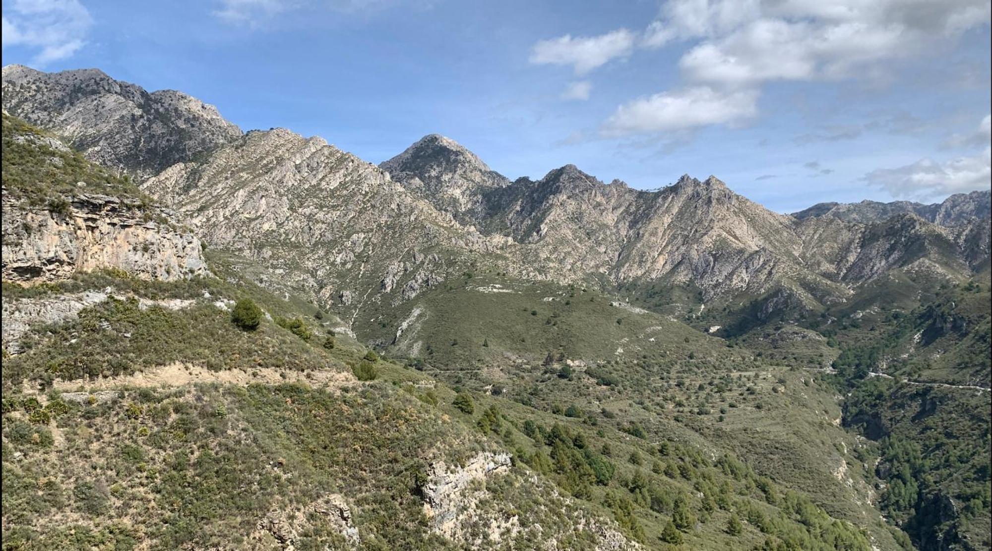 Finca El Almendro Málaga Eksteriør billede